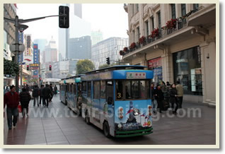 Cruise Port to Shanghai Day Tour